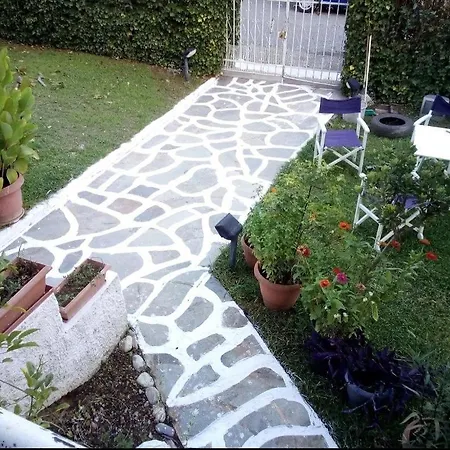 The Cozy Garden *