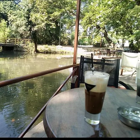 The Cozy Garden 펜션 Aravissos