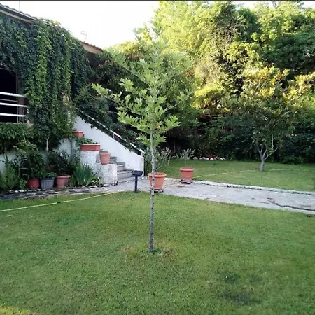 The Cozy Garden *