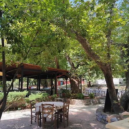 The Cozy Garden 펜션 Aravissos